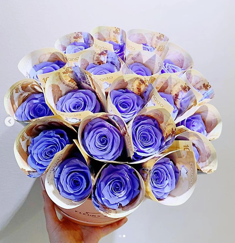 Money Rose Bucket