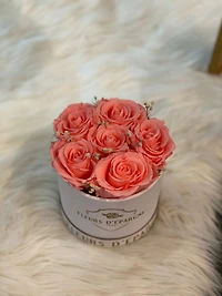 Luxe Round Rose Bucket