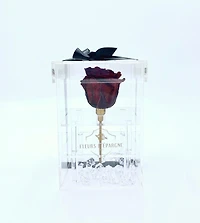Purest Crystal Box with Long Stemmed 3 Year Rose