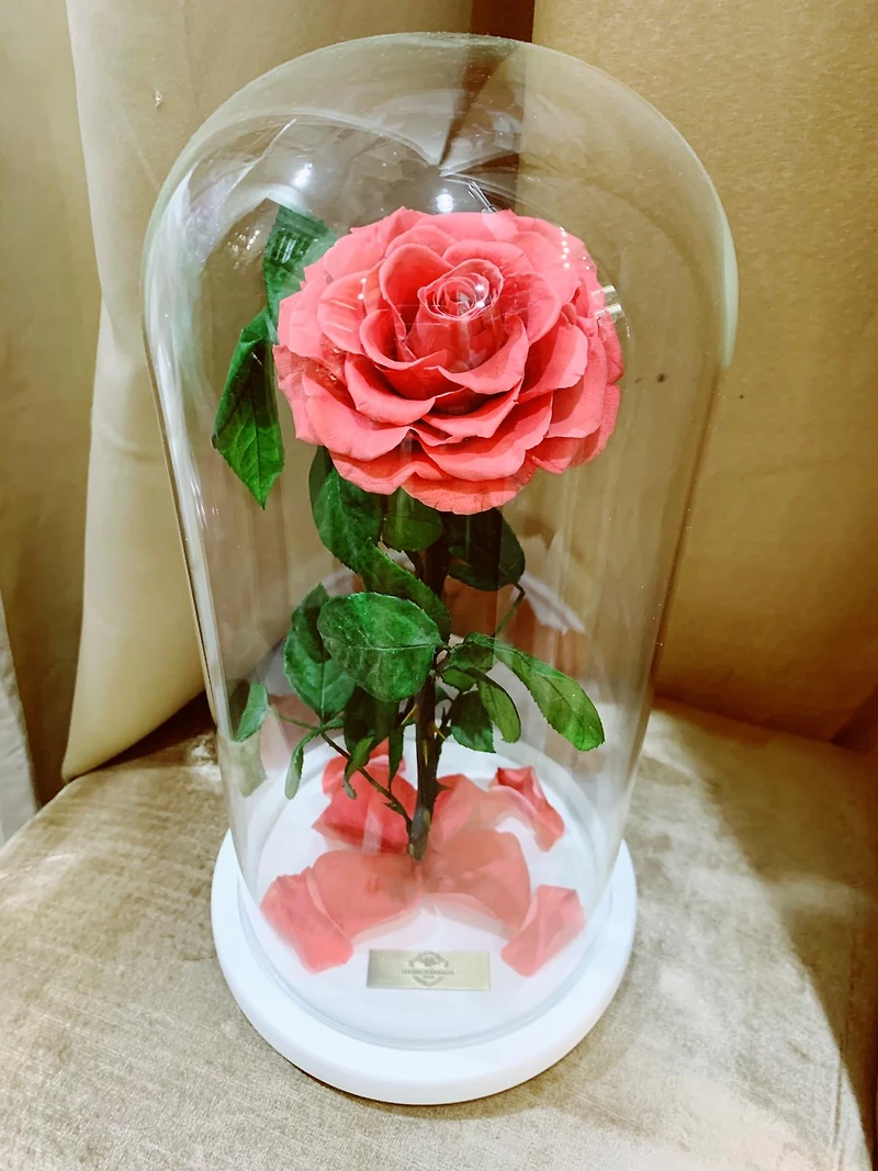Eternity Rose Enchanted Glass Dome