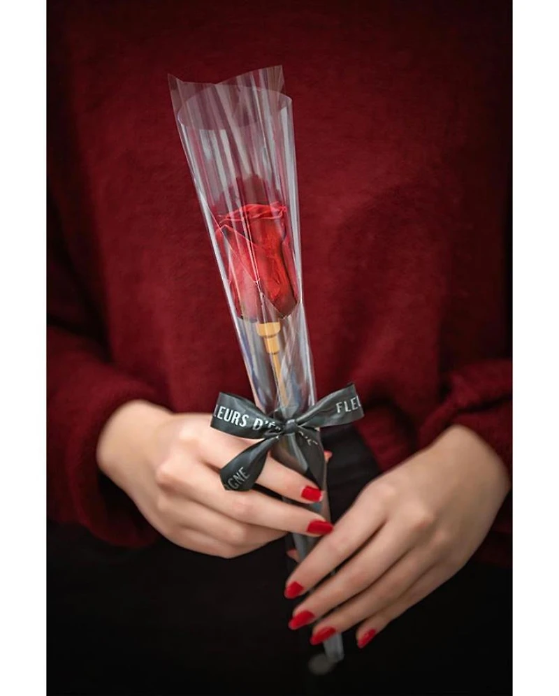 Eternity Single Rose Cone