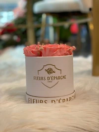 Luxe Round Rose Bucket