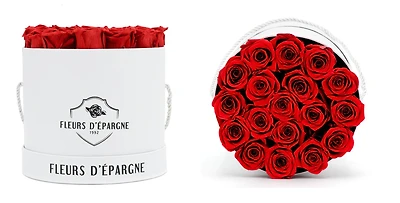 Elegance Prestige Rose Bucket