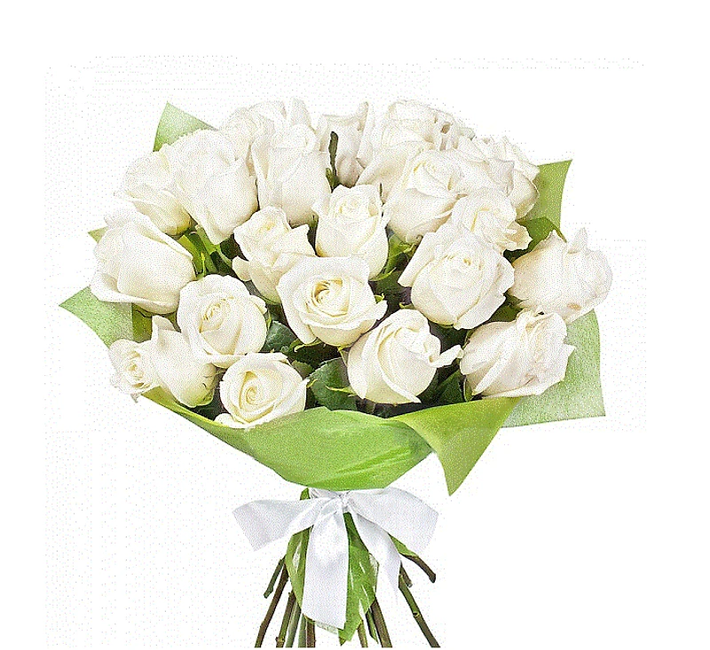 Pure Blooms-Fresh Flowers