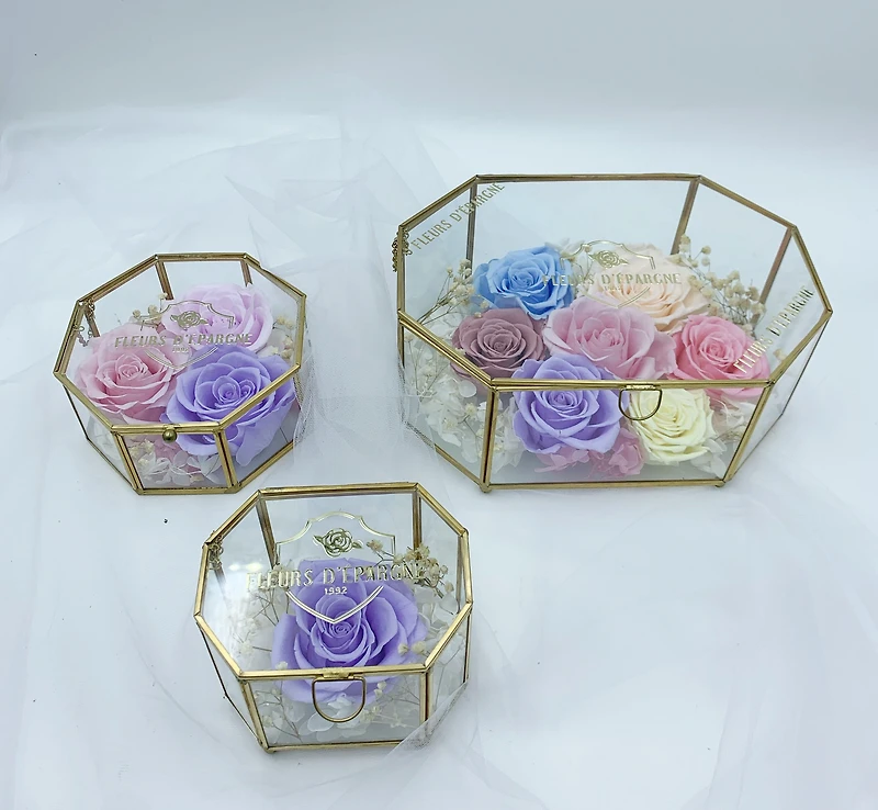 Fairytale Oval Hexagon Terrarium