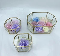 Fairytale Oval Hexagon Terrarium