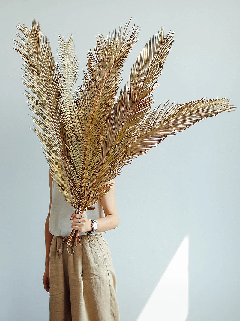 Large Dried Leaves - Bunch of 5