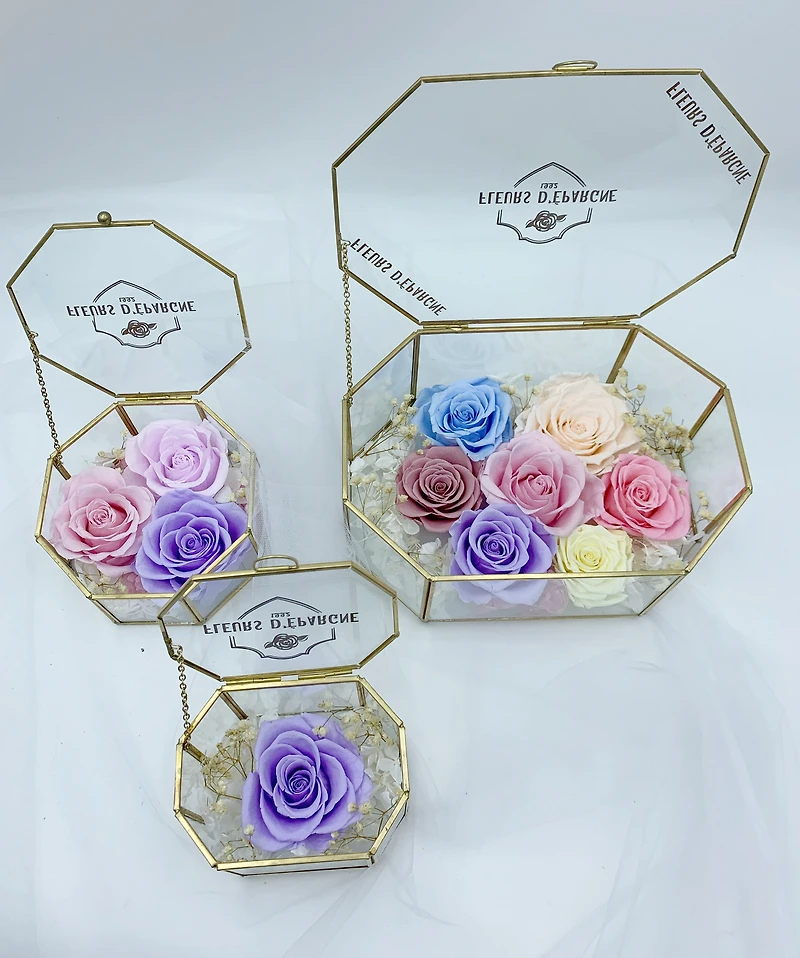 Fairytale Oval Hexagon Terrarium