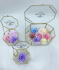 Fairytale Oval Hexagon Terrarium