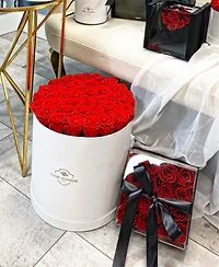 Larger than Large - Classic Round Bucket