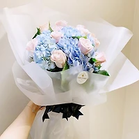 Cotton Candy Hydrangeas Mix-Fresh Flowers