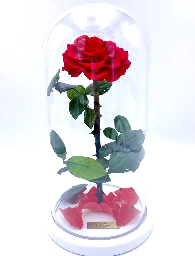 Eternity Rose Enchanted Glass Dome