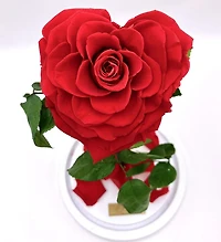 Enchanted Rose in Glass Dome