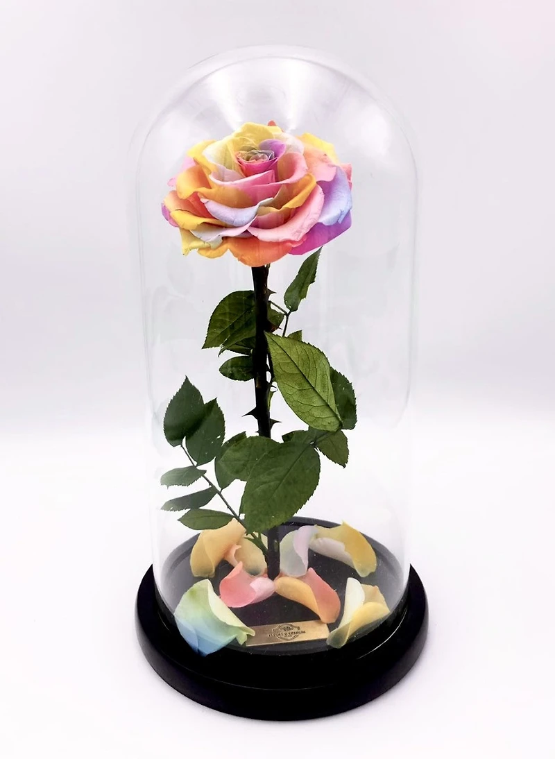 Eternity Rose Enchanted Glass Dome