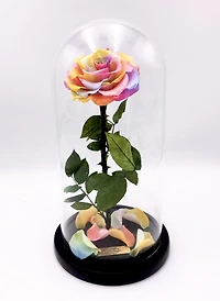 Eternity Rose Enchanted Glass Dome