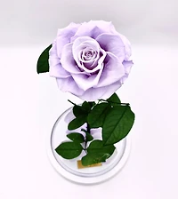 Eternity Rose Enchanted Glass Dome
