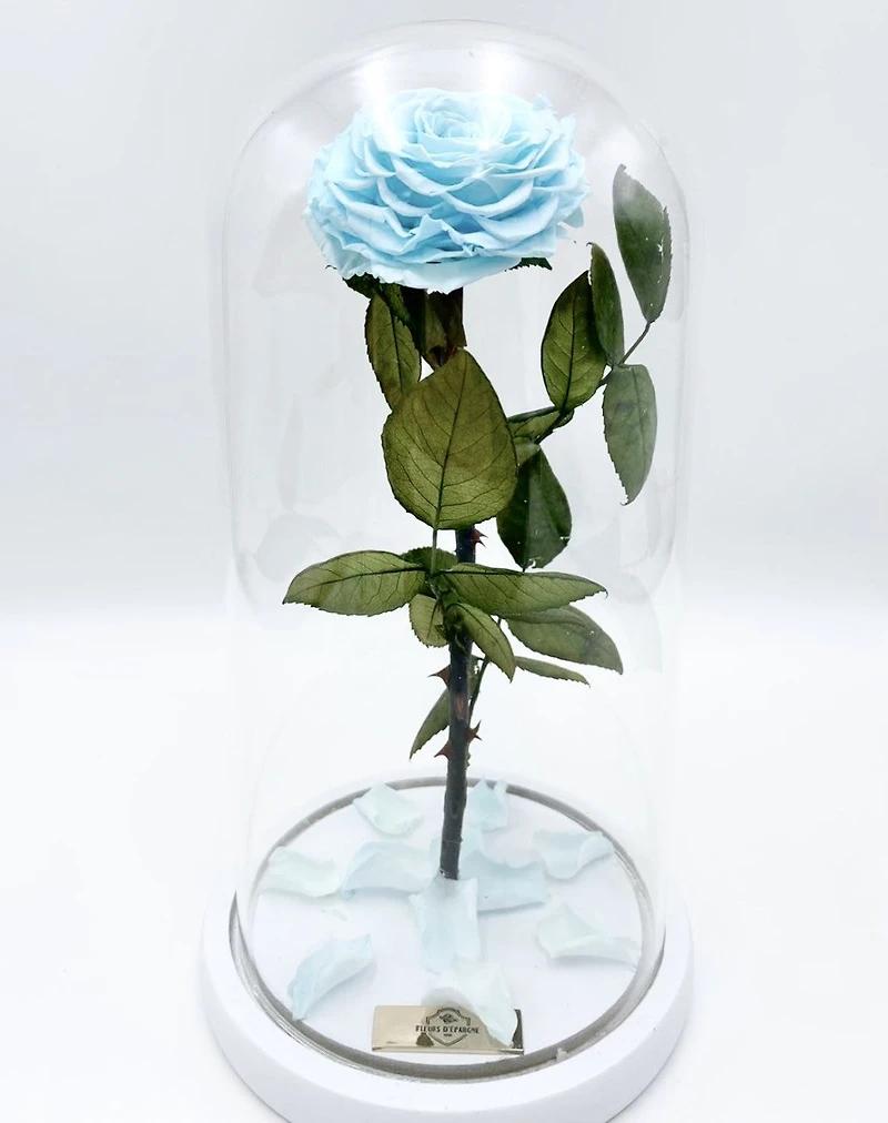 Eternity Rose Enchanted Glass Dome