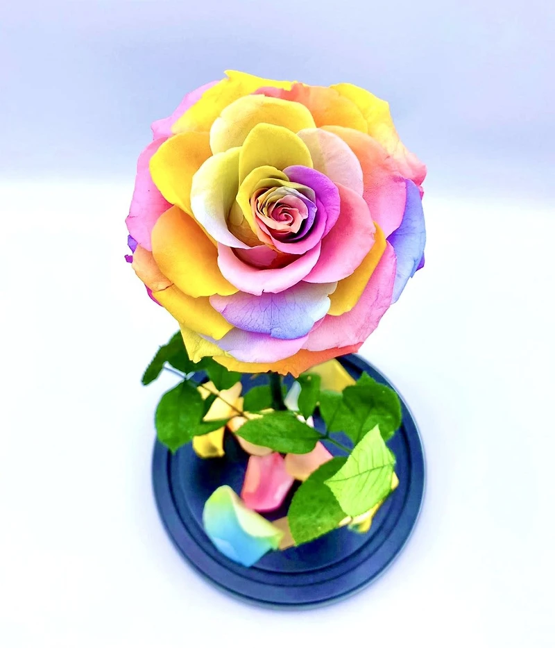 Eternity Rose Enchanted Glass Dome