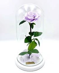 Eternity Rose Enchanted Glass Dome