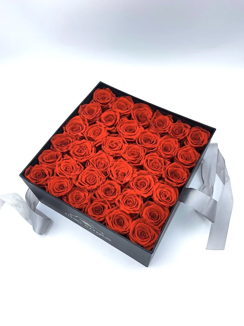 Supreme Elegance Box