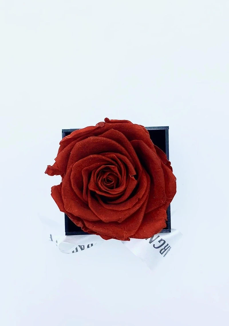 One Love Acrylic Box