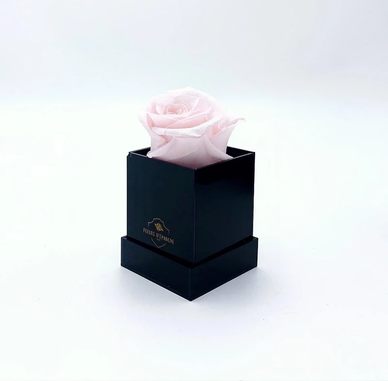 One Love Acrylic Box