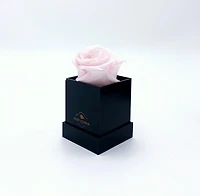 One Love Acrylic Box