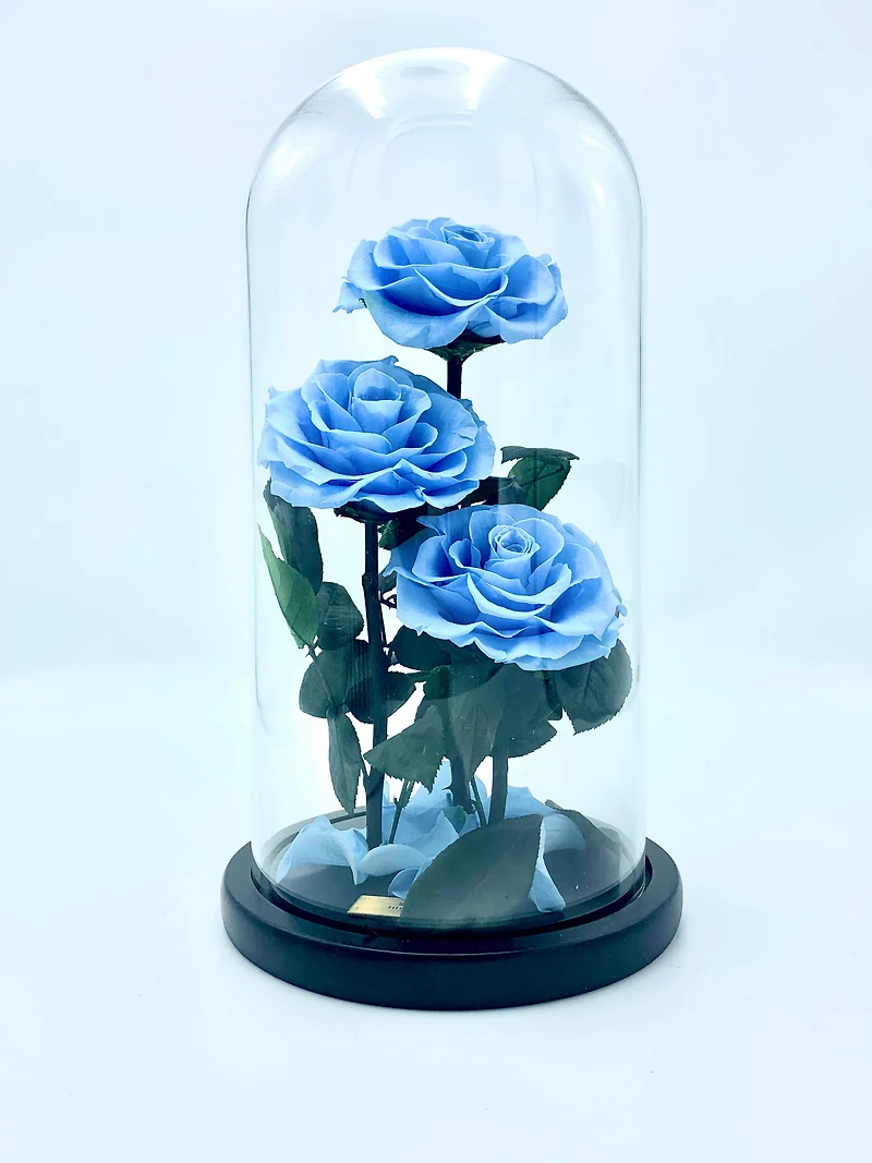 Eternity 3-in-1 Rose Enchanted Glass Dome