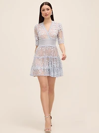 Embroidered Lace Mini Dress