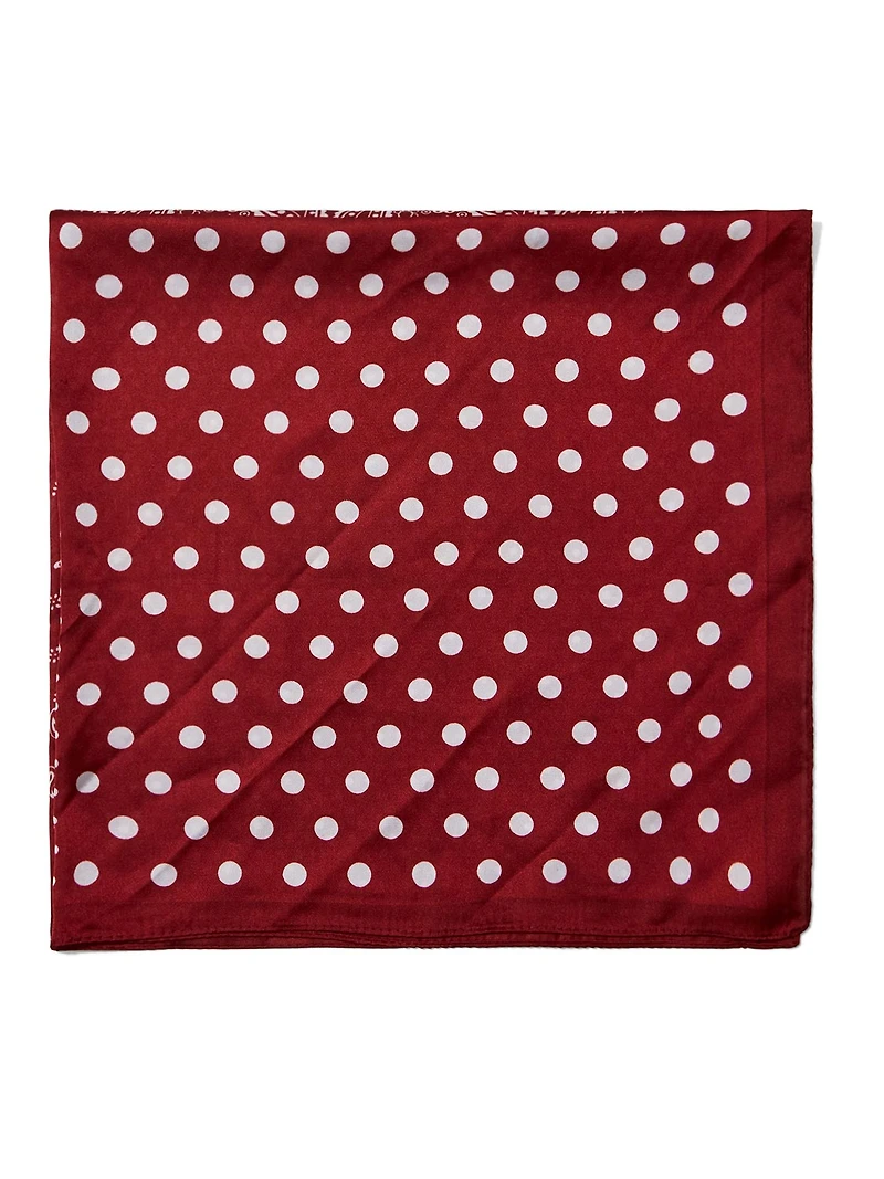 Paisley Silk-Like Scarf