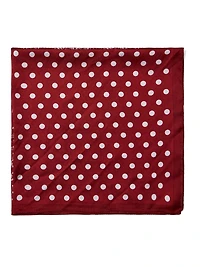 Paisley Silk-Like Scarf