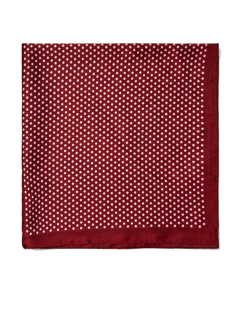 Paisley Silk-Like Scarf