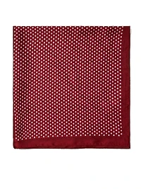 Paisley Silk-Like Scarf
