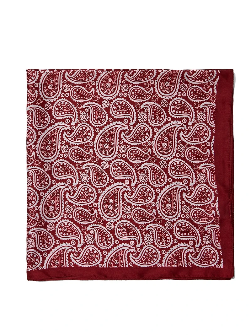 Paisley Silk-Like Scarf