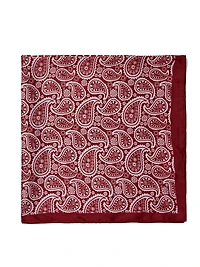 Paisley Silk-Like Scarf