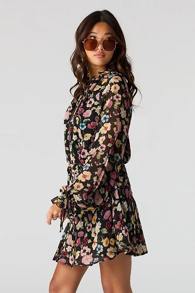Chiffon Long Sleeve Mini Dress