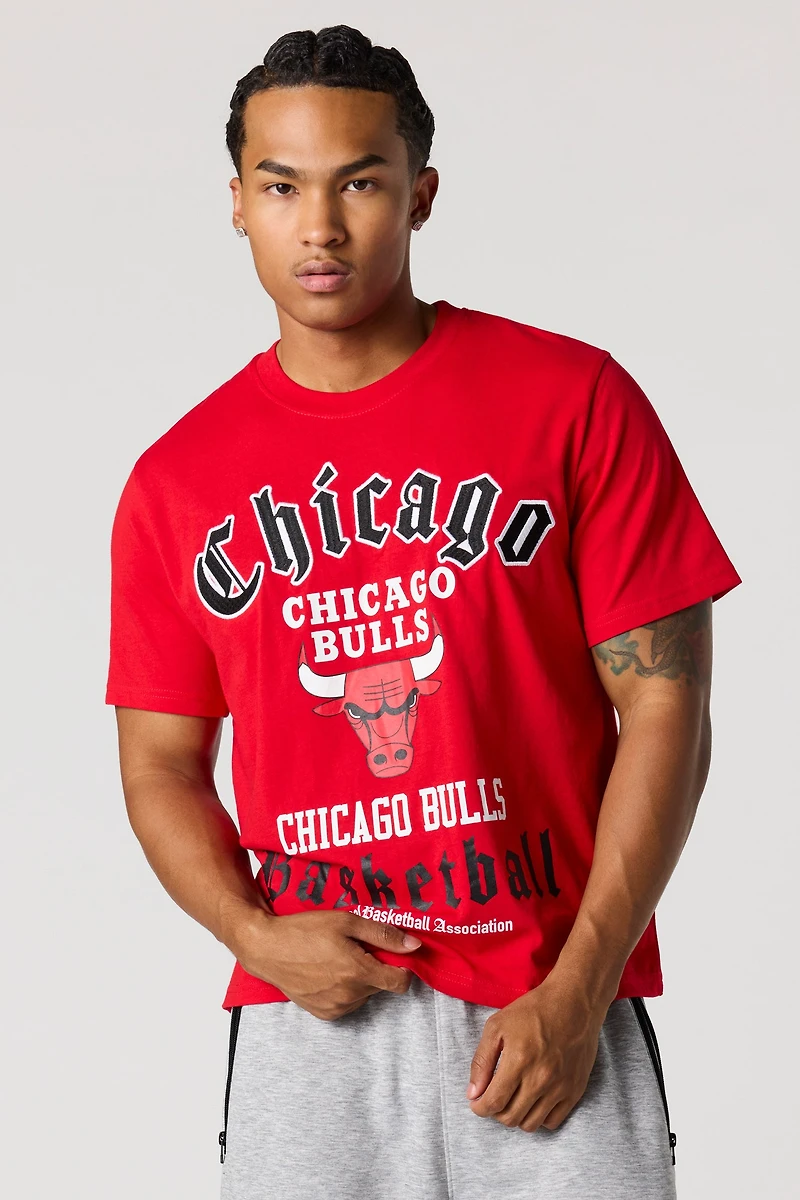 Chicago Bulls Embroidered Graphic T-Shirt