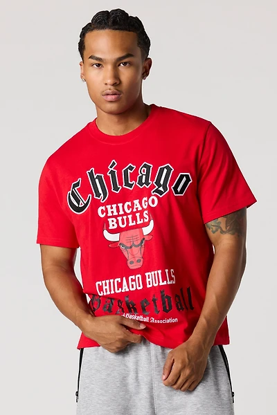 Chicago Bulls Embroidered Graphic T-Shirt