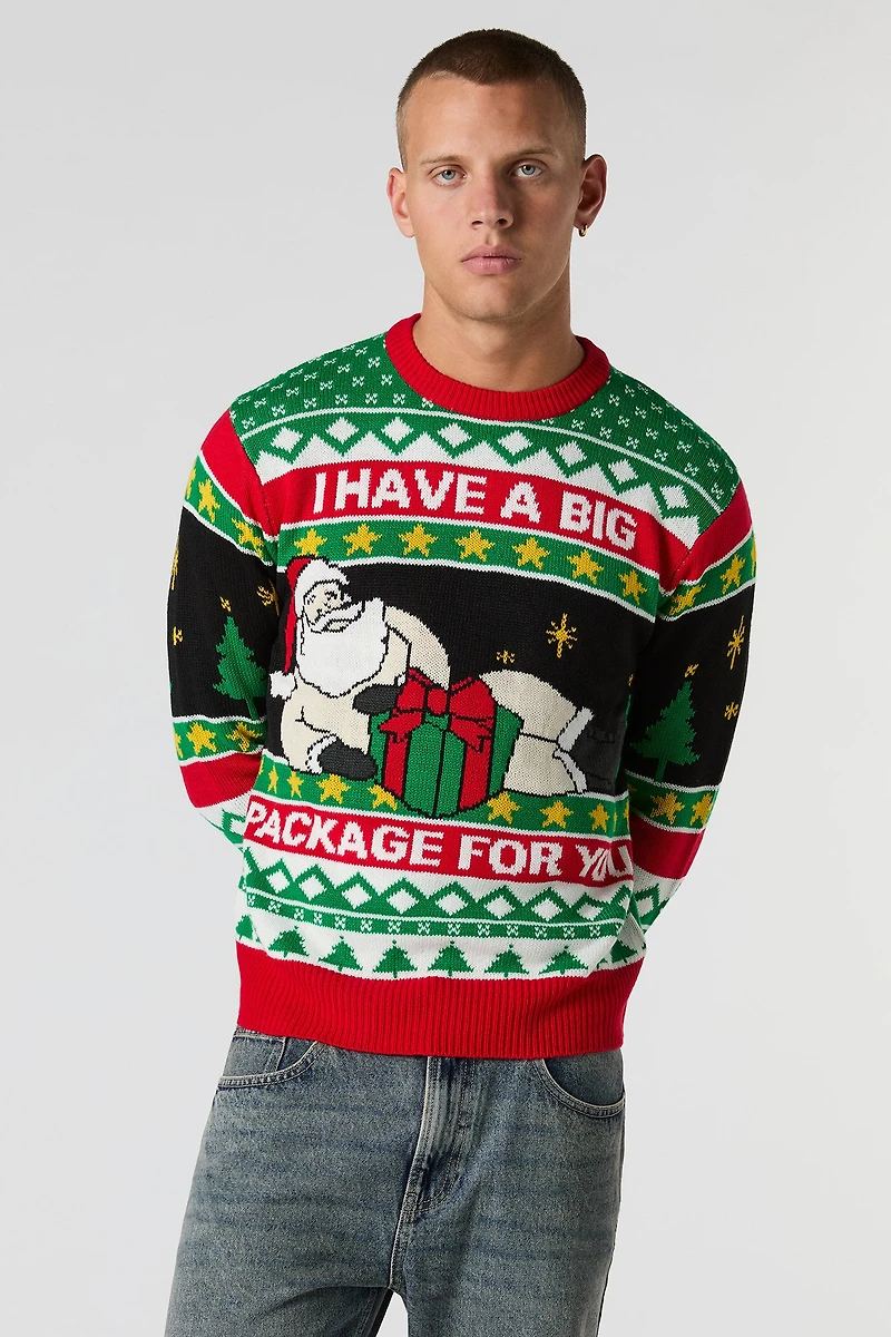 Santa Package Christmas Sweater
