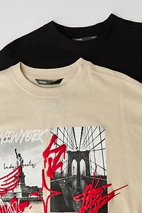Boys Graphic & Solid T-Shirt (2 Pack
