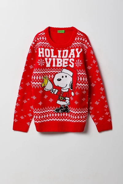 Boys Snoopy Jacquard Knit Christmas Sweater