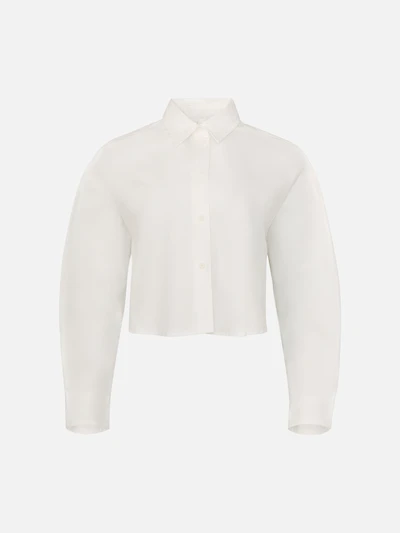 Crop Button Down Shirt
