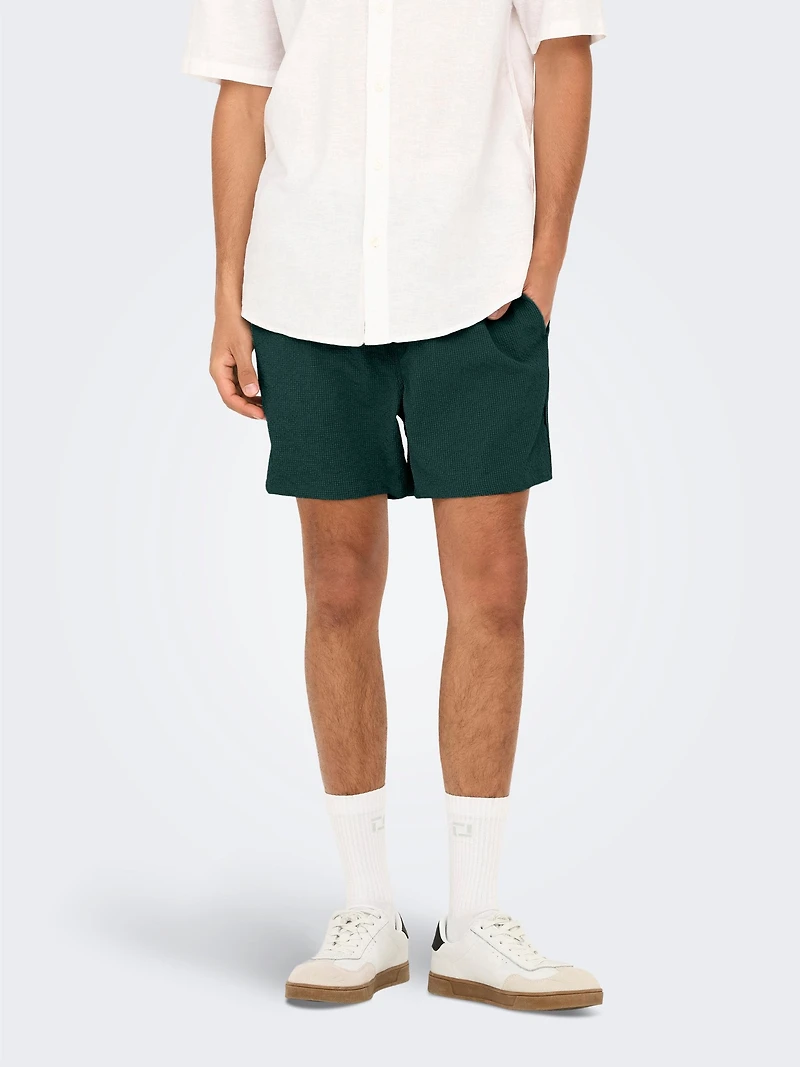 Ted Seersucker Swim Shorts