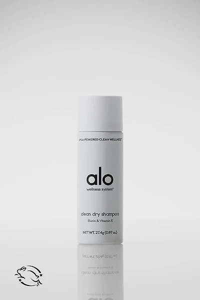 Mini Dry Shampoo