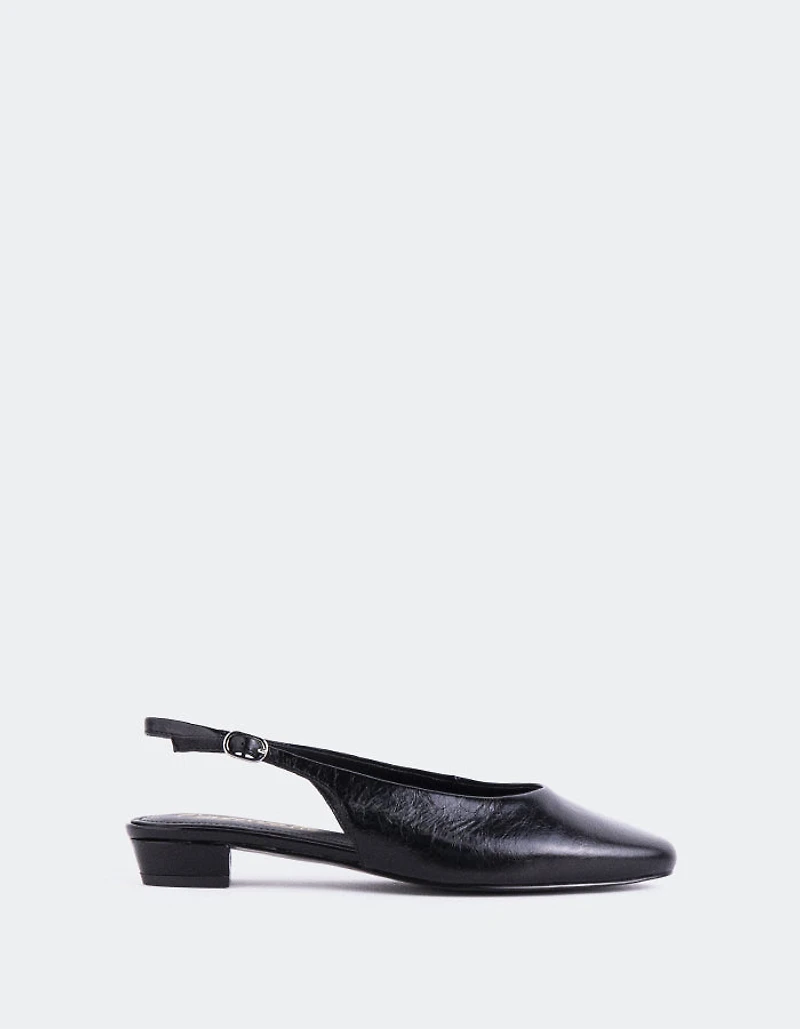 Brassia Black Leather