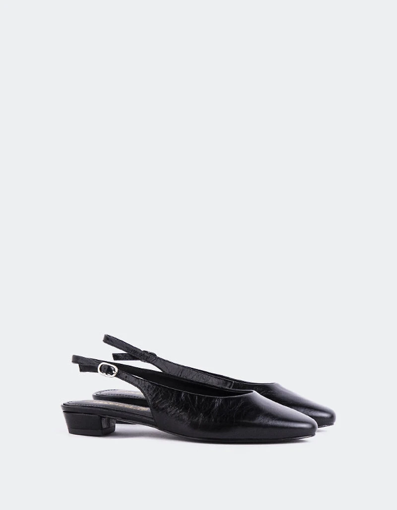 Brassia Black Leather