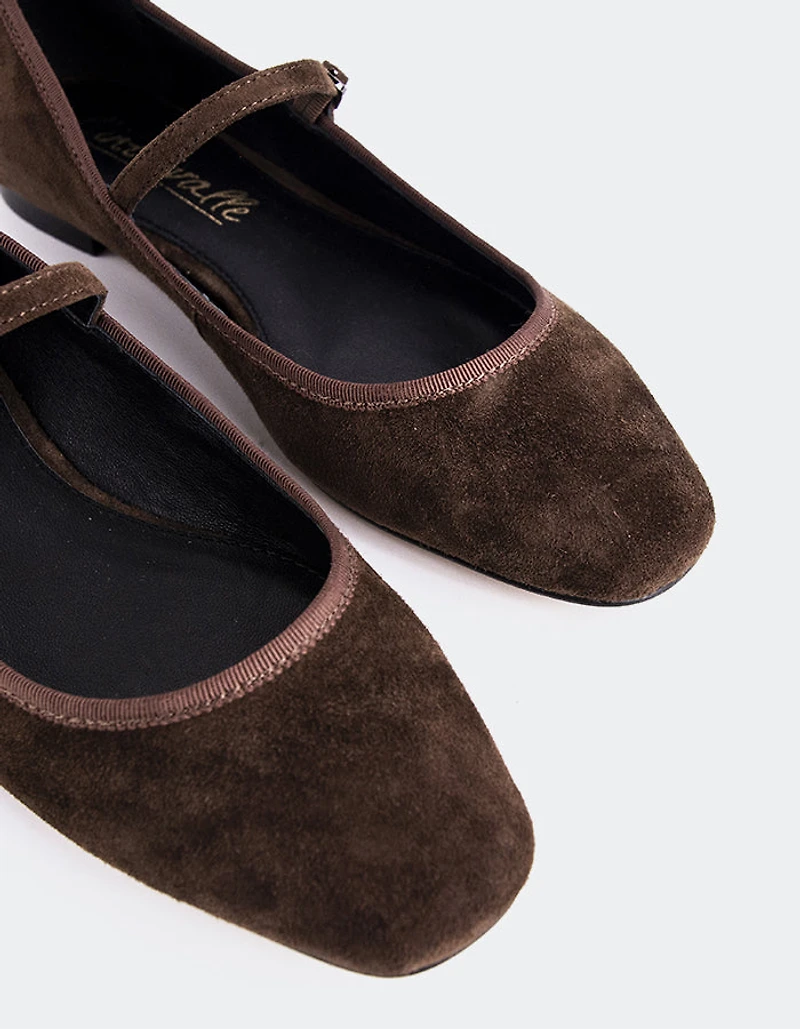 Casilina Brown Suede