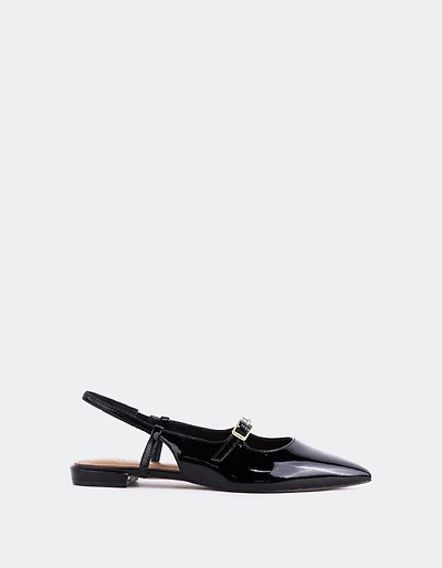 Ludisia Black Patent