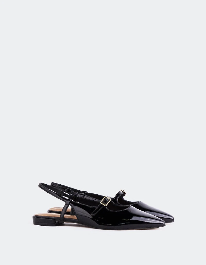 Ludisia Black Patent