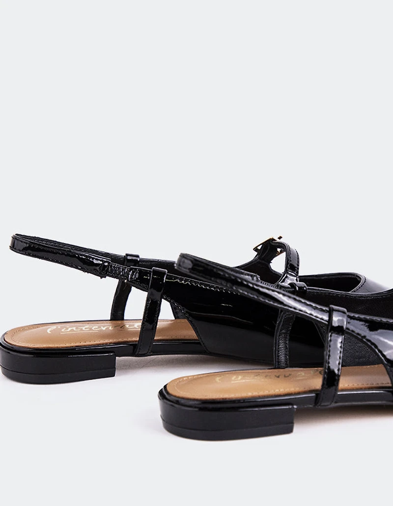 Ludisia Black Patent